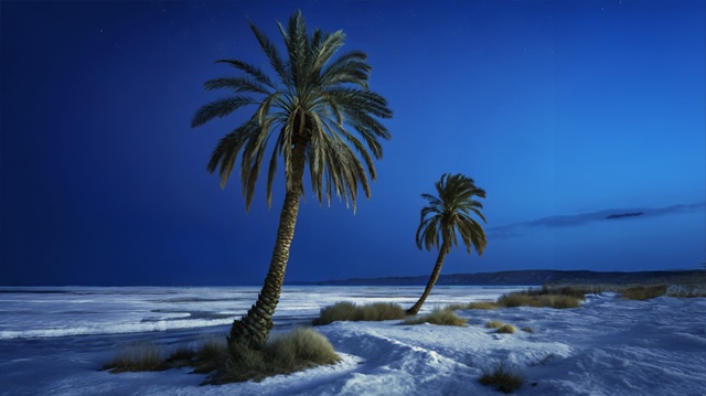 blog-image